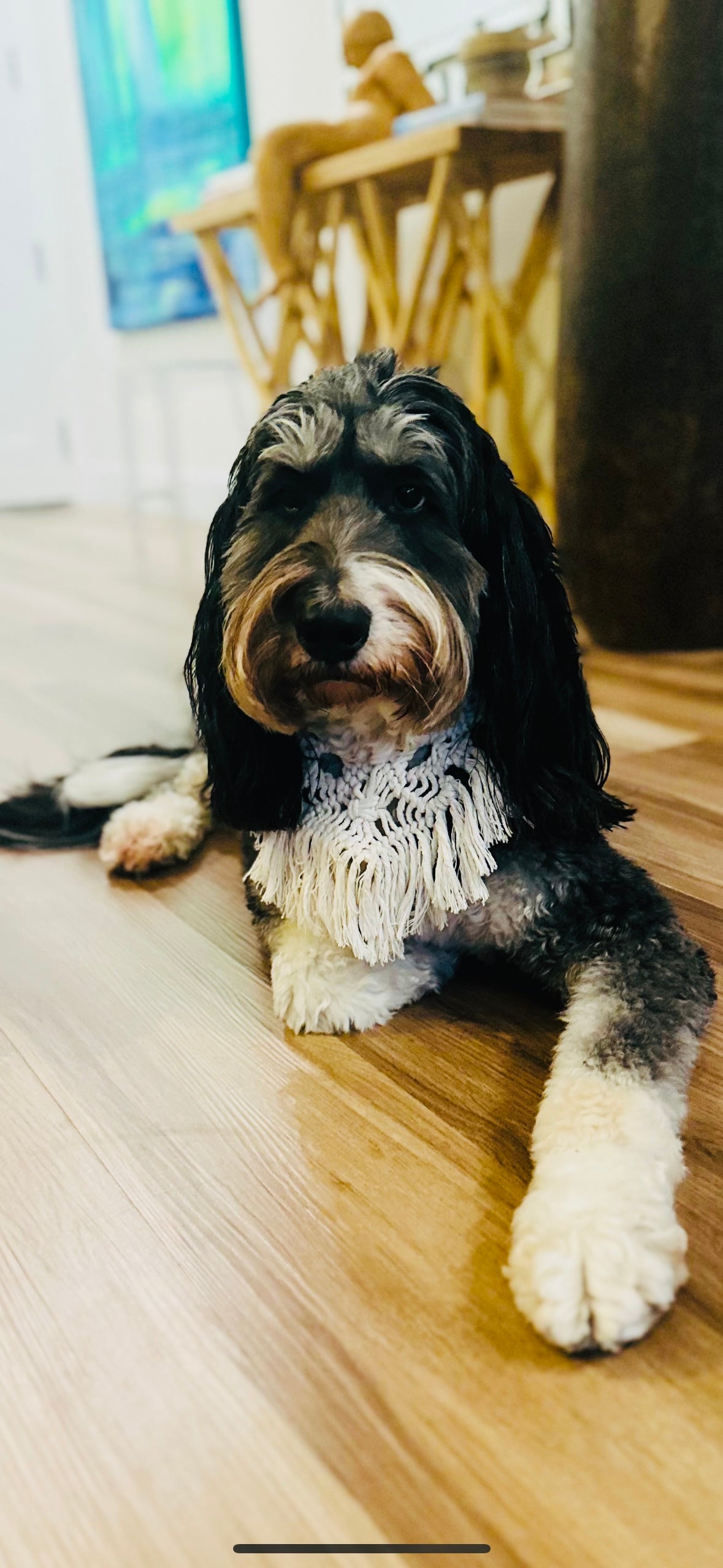 Vintage Macrame Bandana