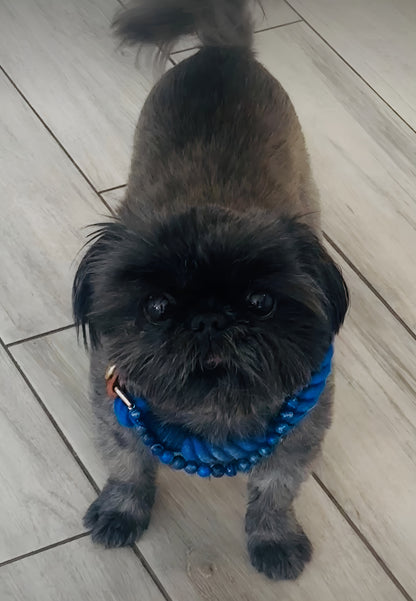Blue Lapis Energy Collar- Crystal & Rope Collection