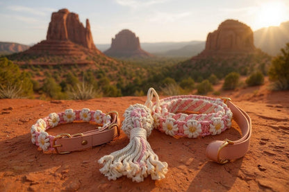 Daisy Days Macrame Poop Bag Holder