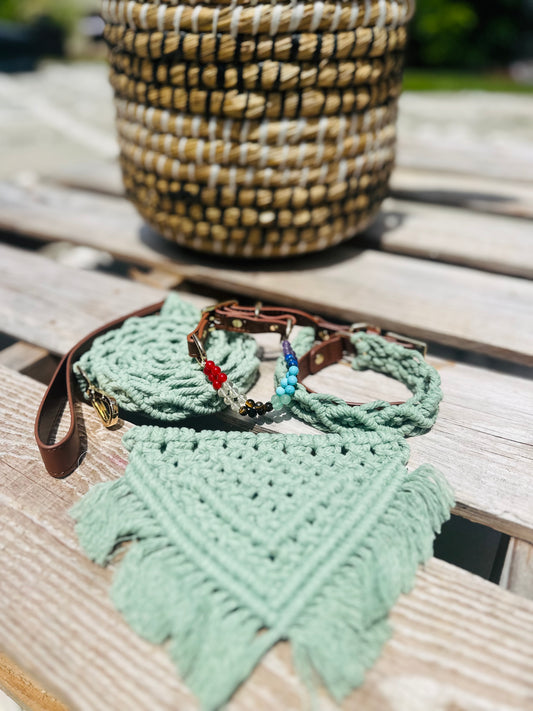 Green Collar/Leash set