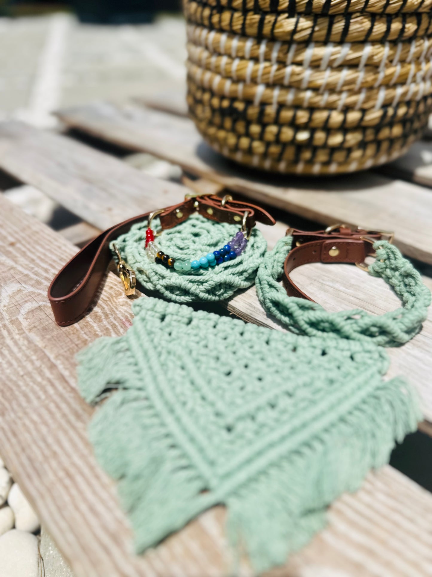 Green Collar/Leash set