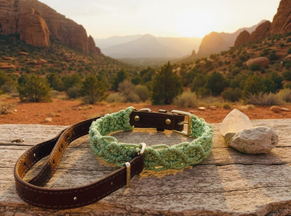 Green Collar/Leash set