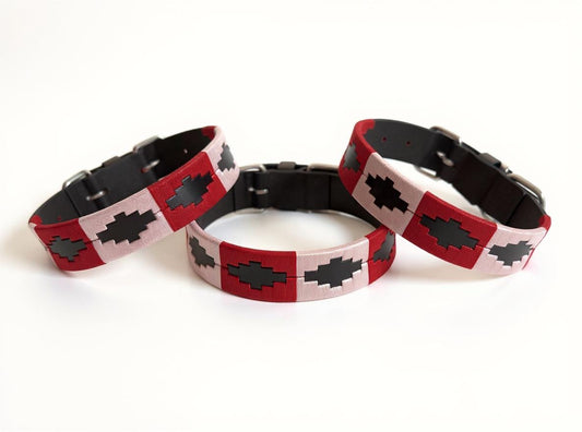 Patagonia Collection- Pink & Red Collar